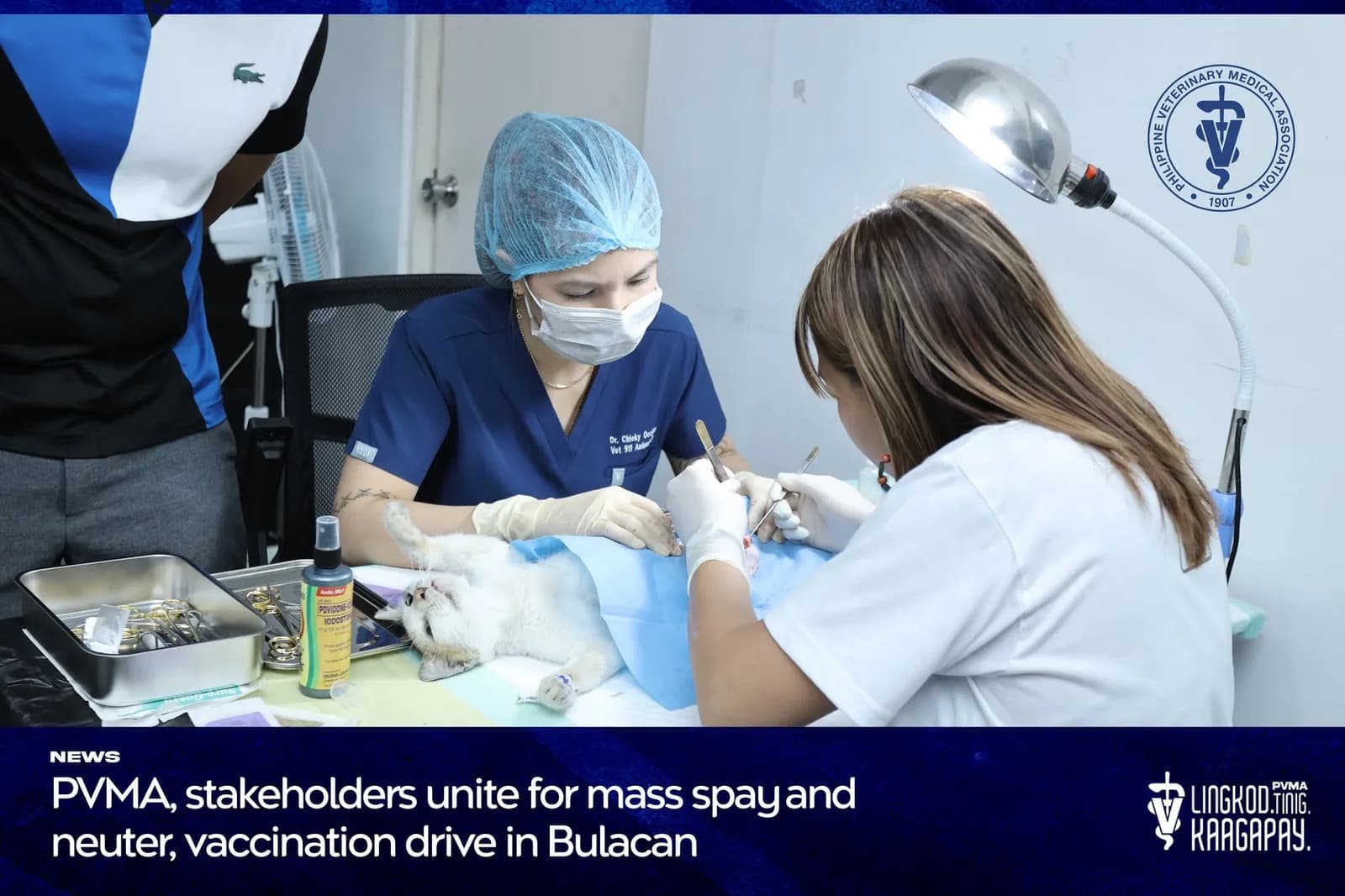 Mass Spray and Nueter
